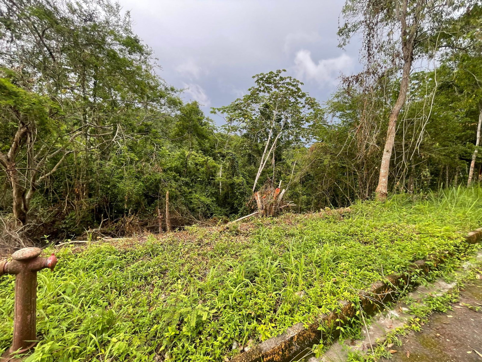 Fifth image of 20 Woodland Heights in Red Hills, St. Andrew, Jamaica - property is For Sale