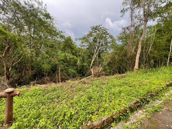 Fifth image of 20 Woodland Heights in Red Hills, St. Andrew, Jamaica - property is For Sale