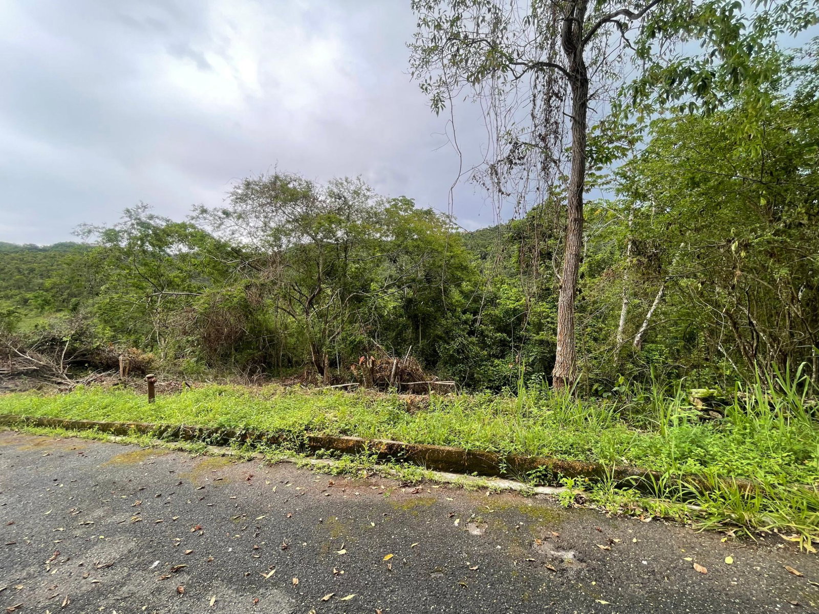 Sixth image of 20 Woodland Heights in Red Hills, St. Andrew, Jamaica - property is For Sale
