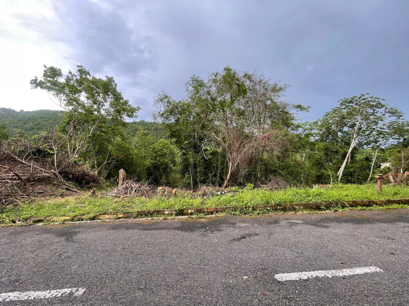 Seventh image of 20 Woodland Heights in Red Hills, St. Andrew, Jamaica - property is For Sale