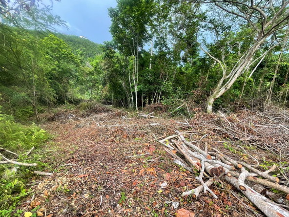 Ninth image of 20 Woodland Heights in Red Hills, St. Andrew, Jamaica - property is For Sale