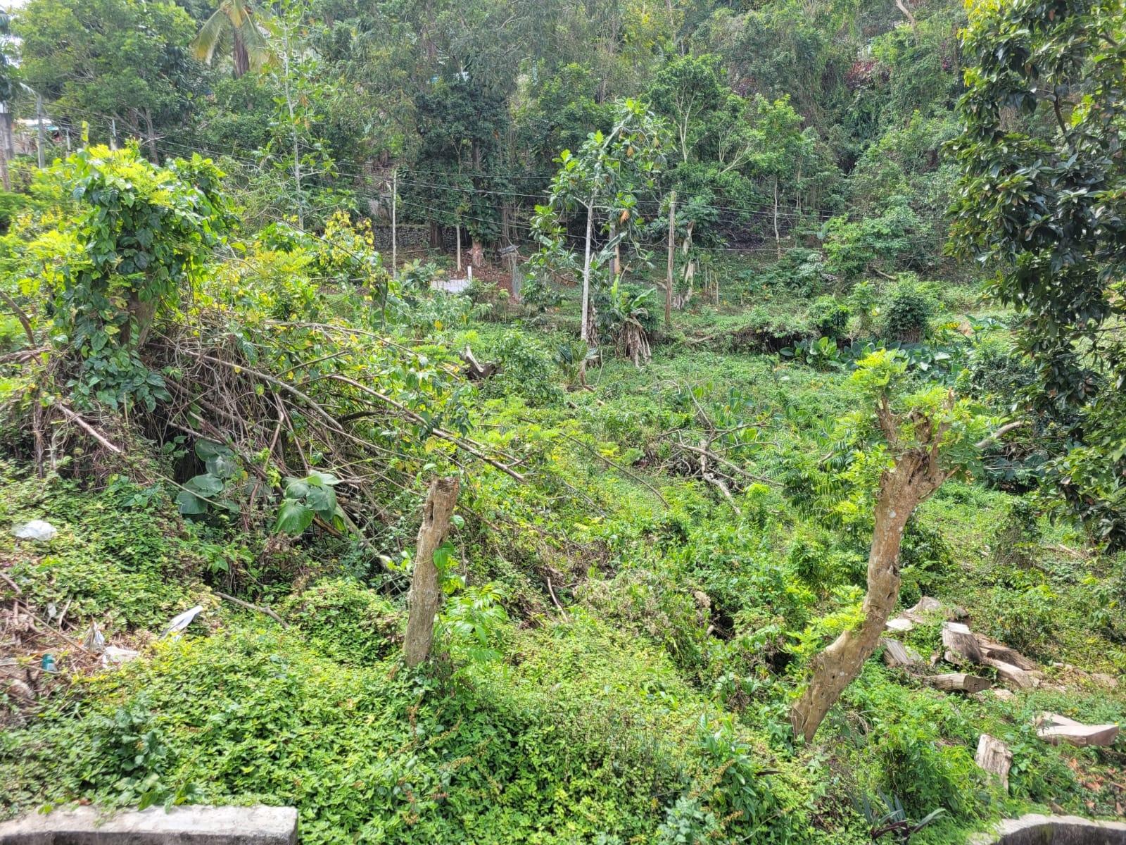 Second image of Kerr Land , Hopeton po s in Retirement, St. James, Jamaica - property is For Sale