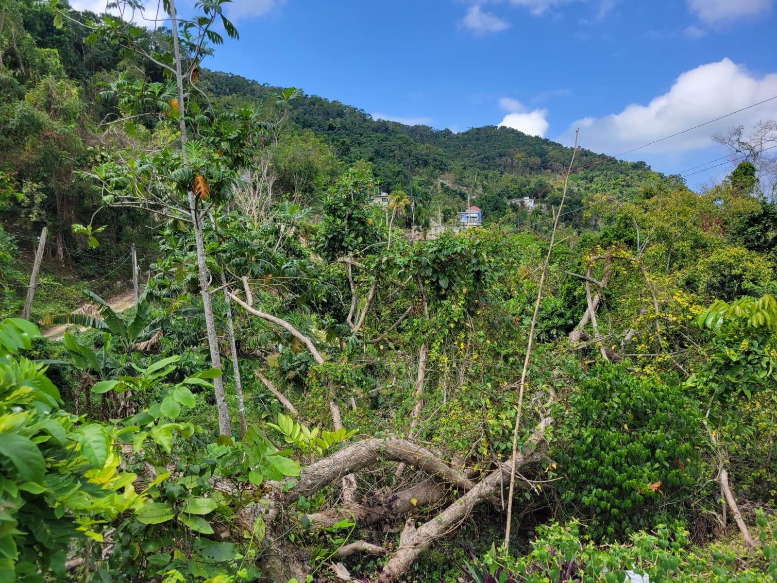 Third image of Kerr Land , Hopeton po s in Retirement, St. James, Jamaica - property is For Sale