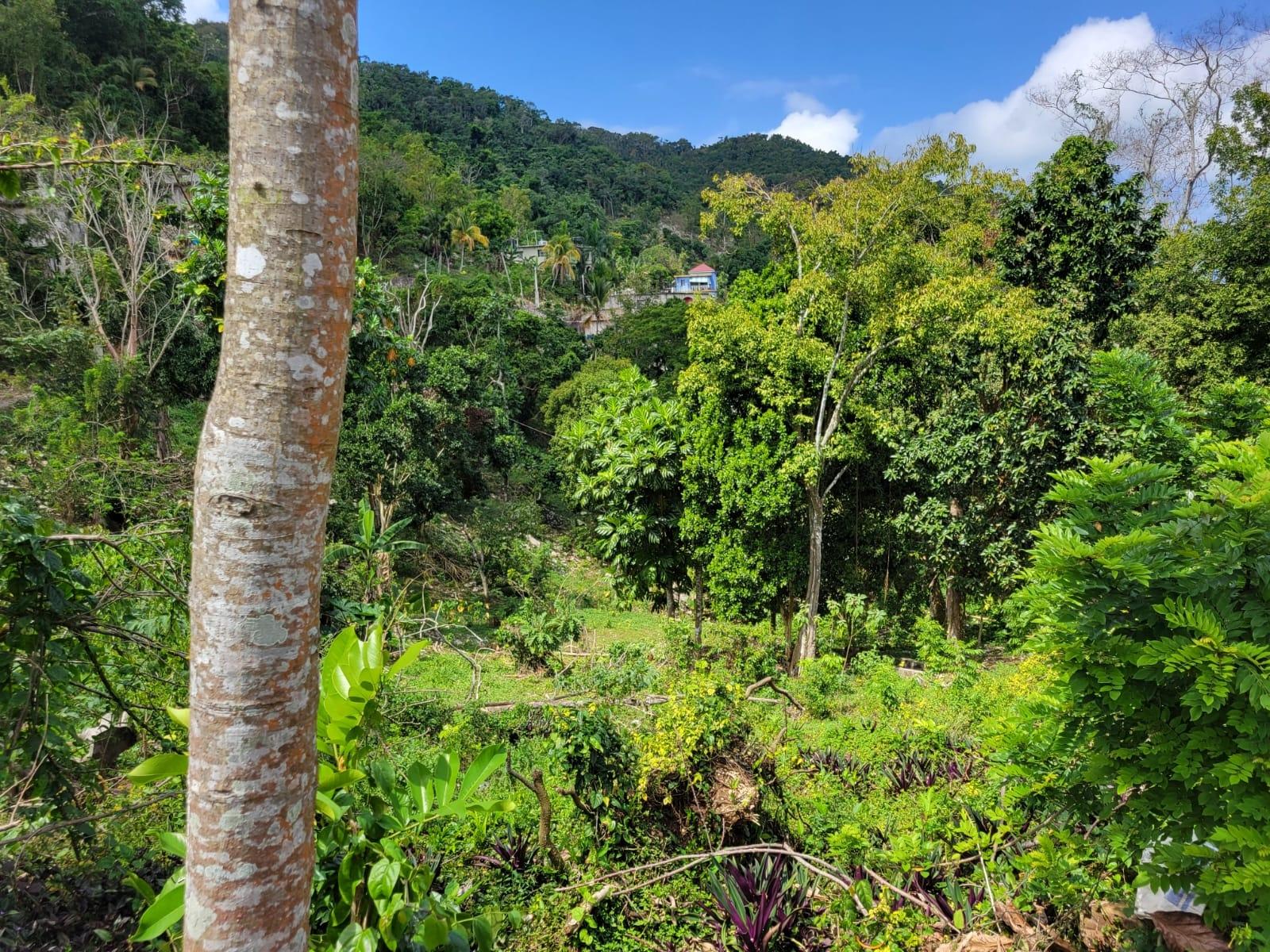 Fourth image of Kerr Land , Hopeton po s in Retirement, St. James, Jamaica - property is For Sale
