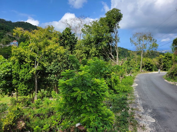 Fifth image of Kerr Land , Hopeton po s in Retirement, St. James, Jamaica - property is For Sale