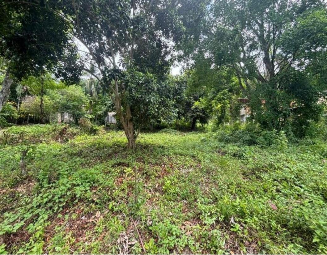 Fifth image of 7- Bogue Estate in Montego Bay, St. James, Jamaica - property is For Sale