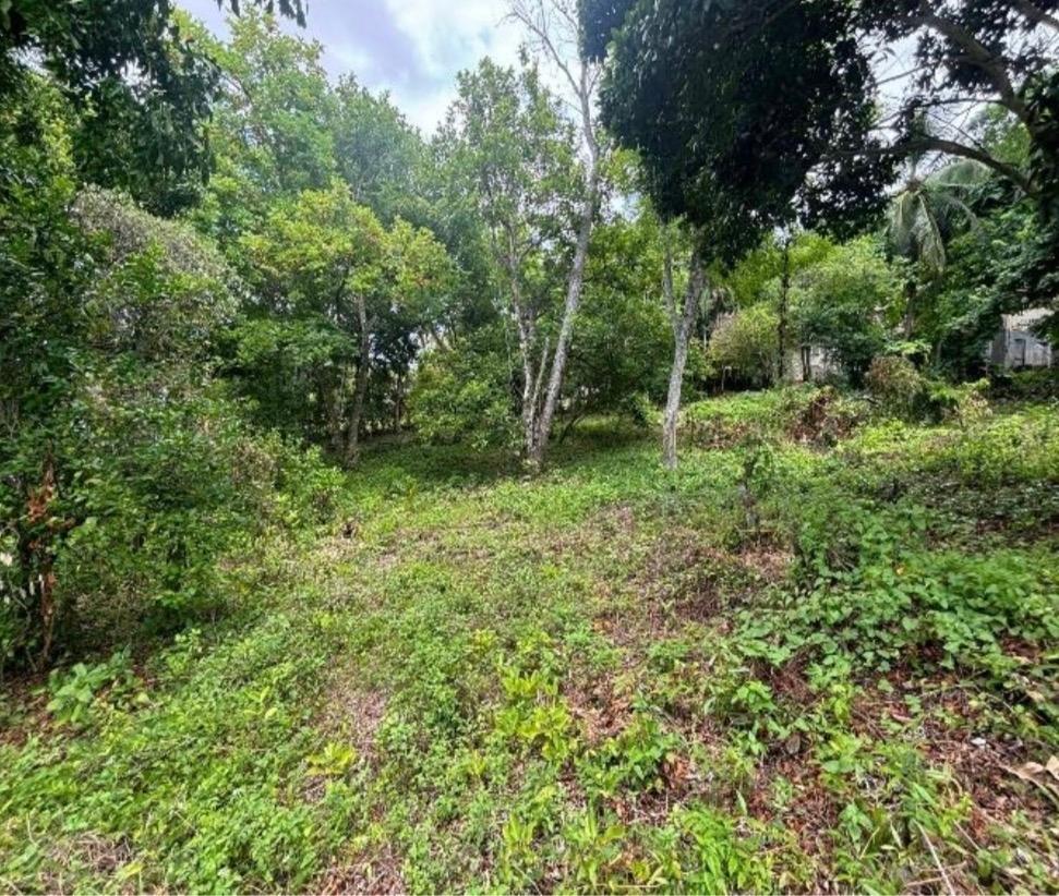 Sixth image of 7- Bogue Estate in Montego Bay, St. James, Jamaica - property is For Sale