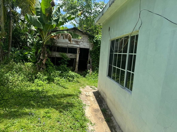 Twelfth image of March Town,cave Valley,ha in Cave Valley, Hanover, Jamaica - property is For Sale