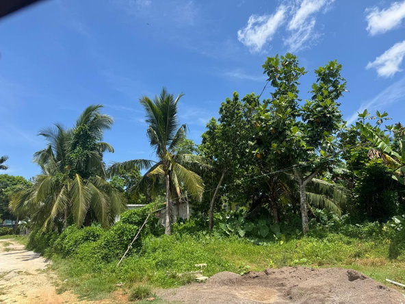 Sixteenth image of March Town,cave Valley,ha in Cave Valley, Hanover, Jamaica - property is For Sale