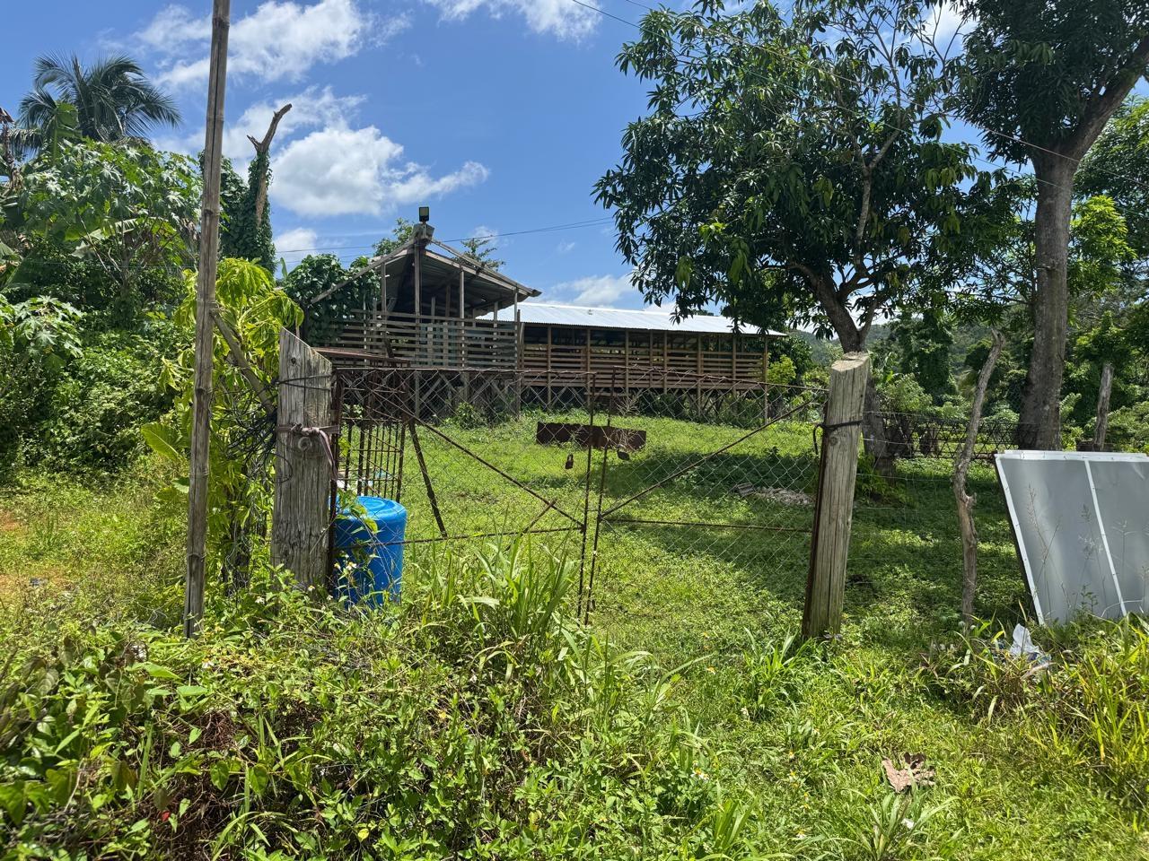 Seventeenth image of March Town,cave Valley,ha in Cave Valley, Hanover, Jamaica - property is For Sale