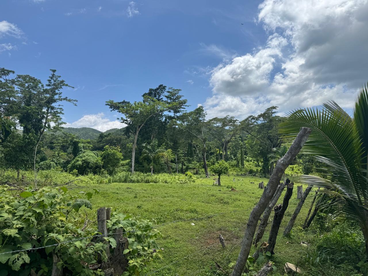 Twentieth image of March Town,cave Valley,ha in Cave Valley, Hanover, Jamaica - property is For Sale