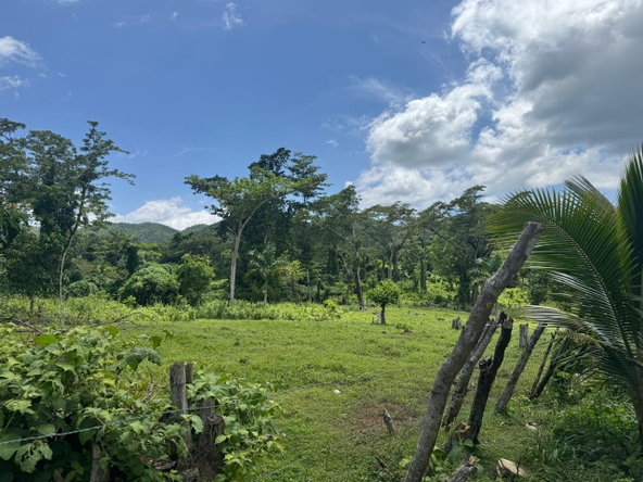 Twentieth image of March Town,cave Valley,ha in Cave Valley, Hanover, Jamaica - property is For Sale
