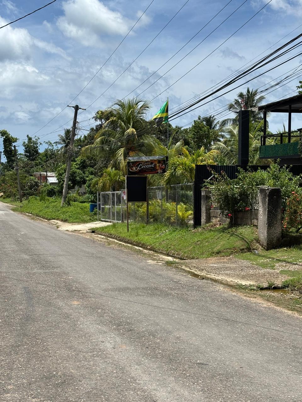 Twenty-Third image of March Town,cave Valley,ha in Cave Valley, Hanover, Jamaica - property is For Sale