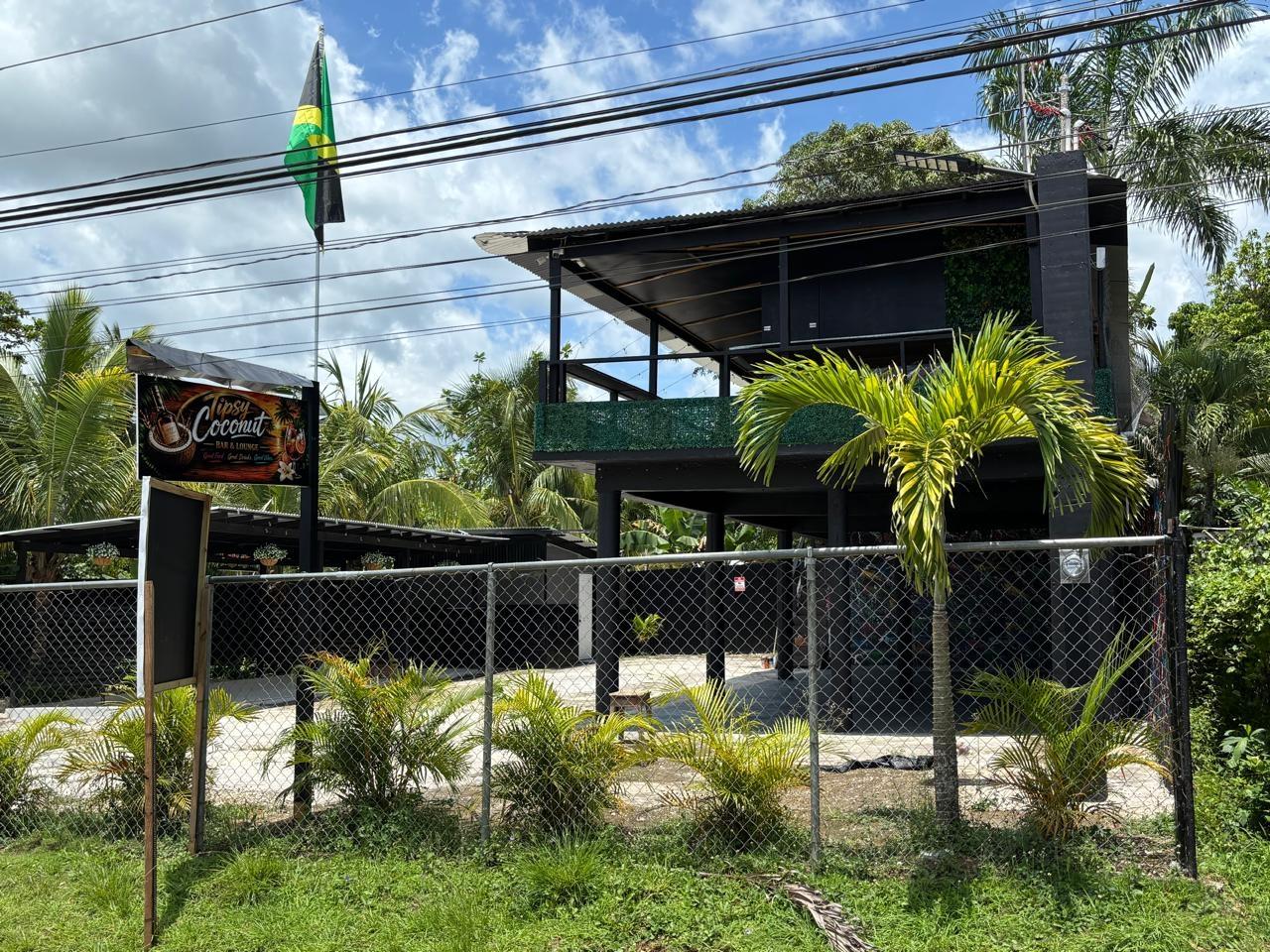 Twenty-Fifth image of March Town,cave Valley,ha in Cave Valley, Hanover, Jamaica - property is For Sale