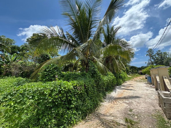 Twenty-Seventh image of March Town,cave Valley,ha in Cave Valley, Hanover, Jamaica - property is For Sale