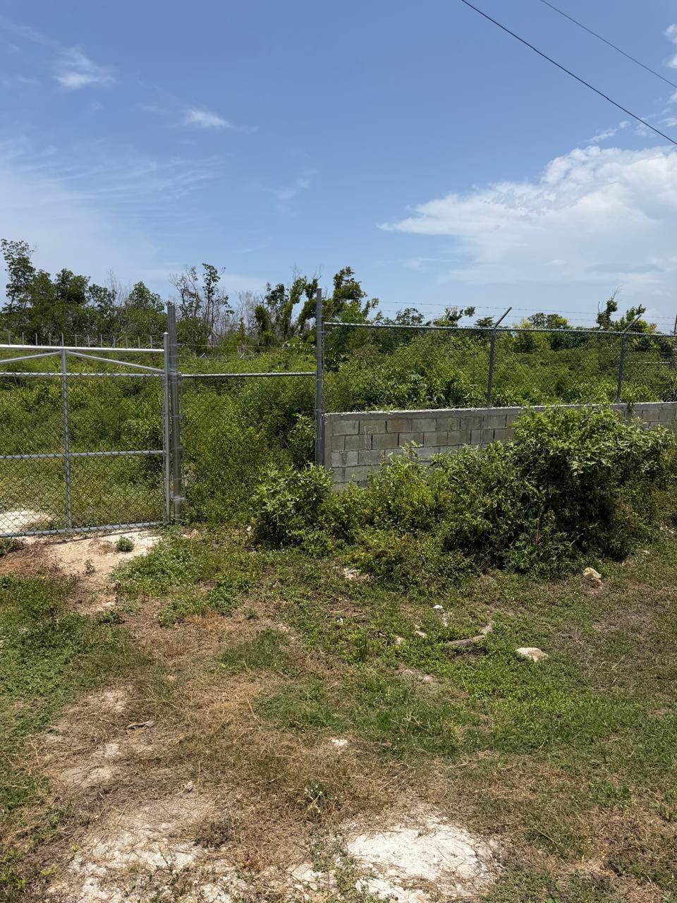 First image of Salt Marsh , Trelawny, in Salt Marsh, Trelawny, Jamaica - property is For Sale