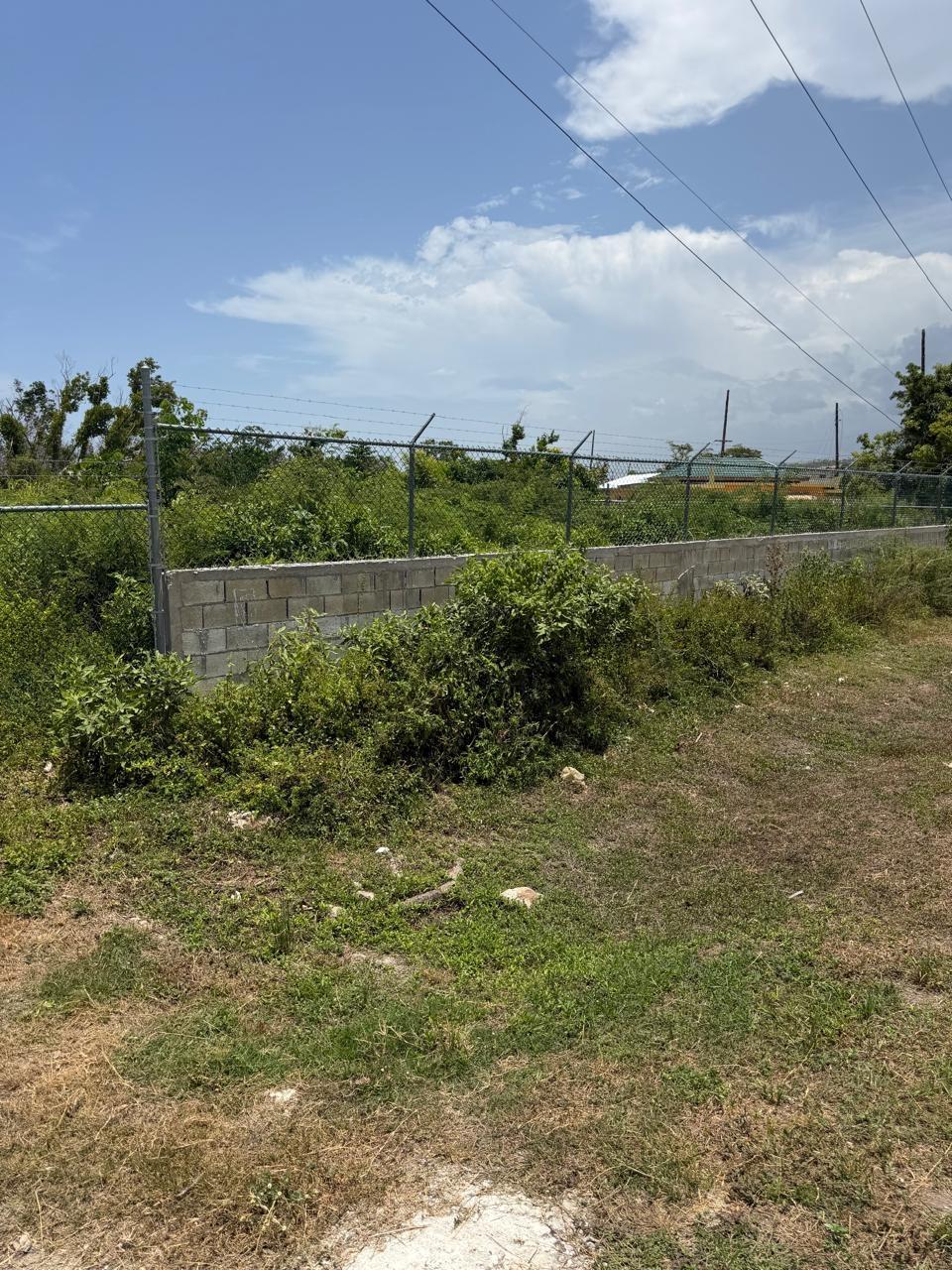 Second image of Salt Marsh , Trelawny, in Salt Marsh, Trelawny, Jamaica - property is For Sale