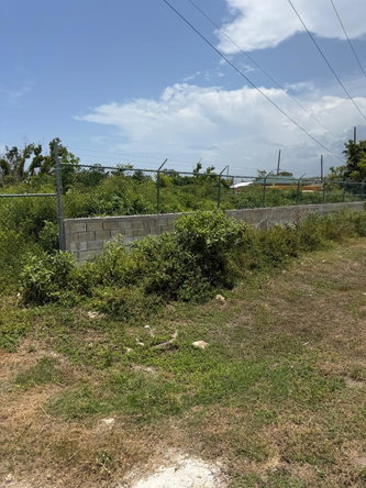 Second image of Salt Marsh , Trelawny, in Salt Marsh, Trelawny, Jamaica - property is For Sale