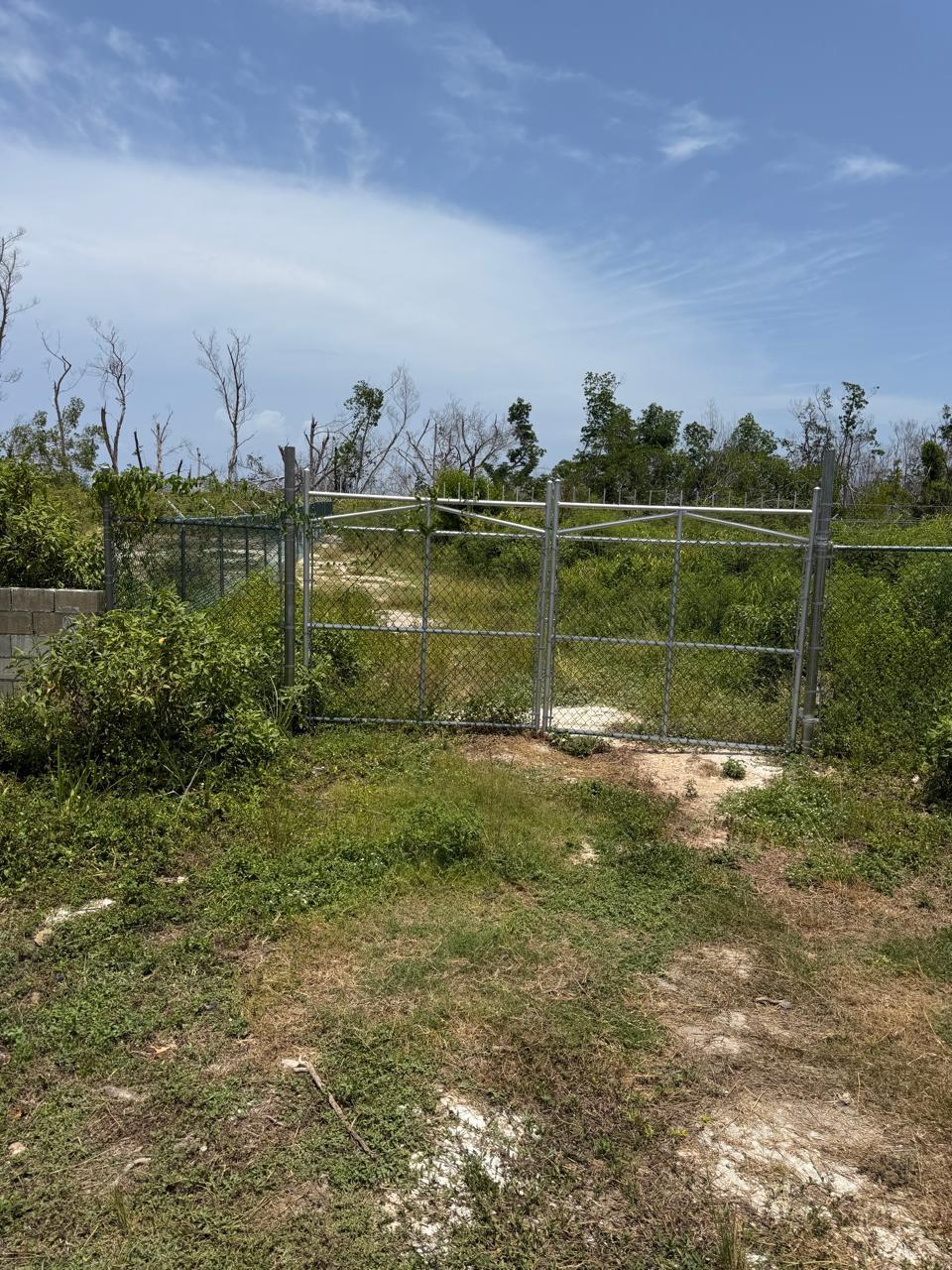 Third image of Salt Marsh , Trelawny, in Salt Marsh, Trelawny, Jamaica - property is For Sale