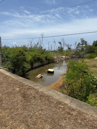 Fourth image of Salt Marsh , Trelawny, in Salt Marsh, Trelawny, Jamaica - property is For Sale
