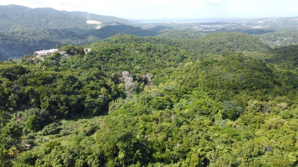 Tenth image of Orange River, Montego Bay in Montego Bay, St. James, Jamaica - property is For Sale