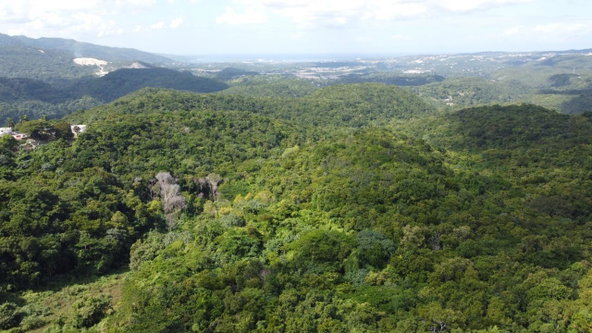 Twelfth image of Orange River, Montego Bay in Montego Bay, St. James, Jamaica - property is For Sale