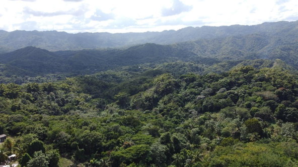 Seventeenth image of Orange River, Montego Bay in Montego Bay, St. James, Jamaica - property is For Sale