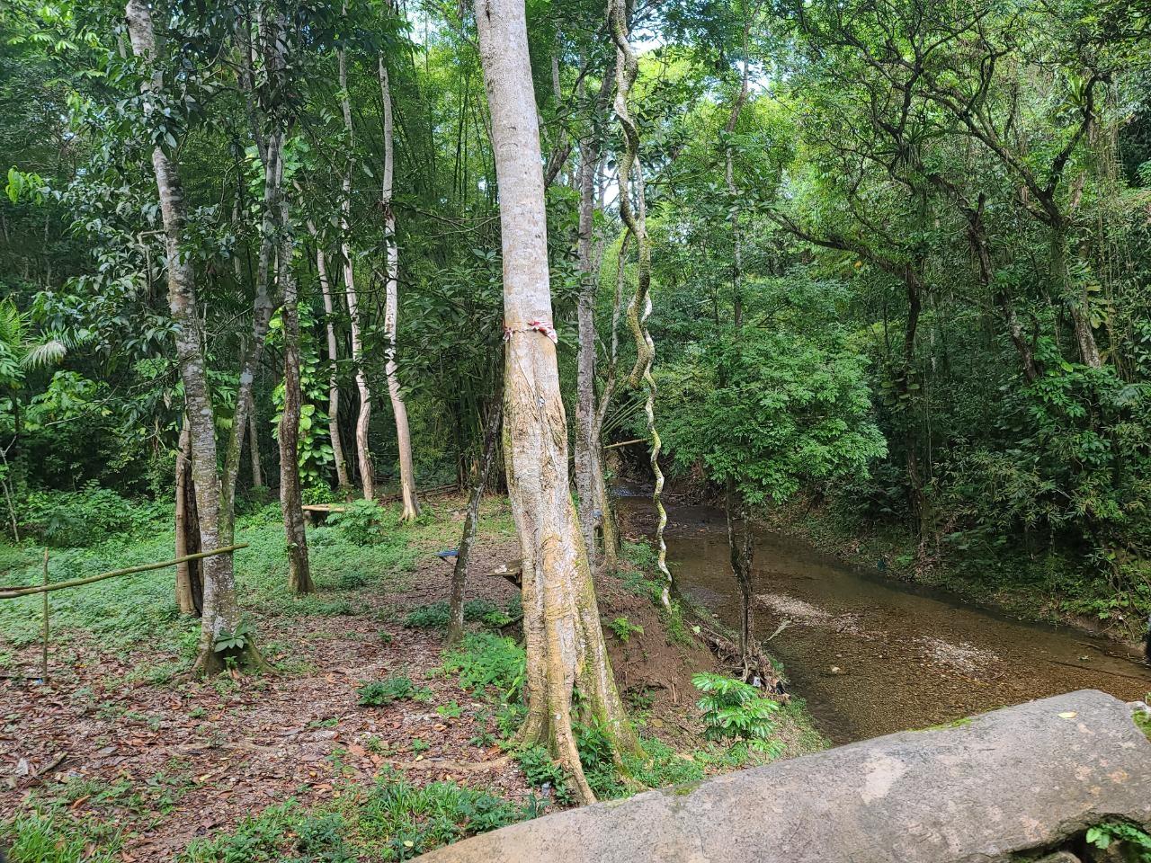 Second image of Orange River, Montego Bay in Montego Bay, St. James, Jamaica - property is For Sale