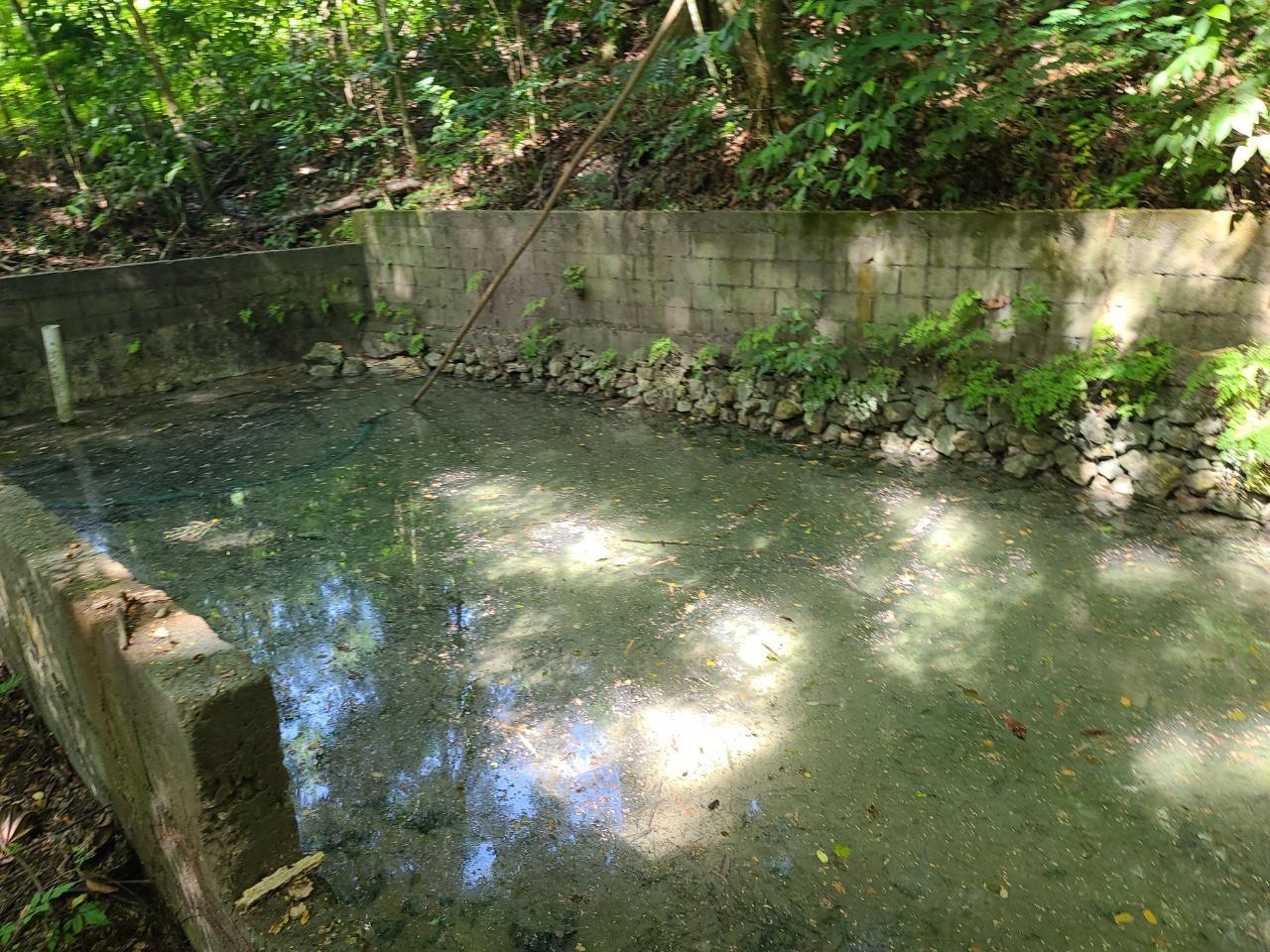 Twentieth image of Orange River, Montego Bay in Montego Bay, St. James, Jamaica - property is For Sale