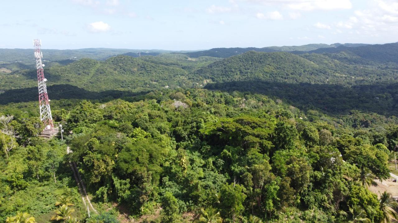 Twenty-First image of Orange River, Montego Bay in Montego Bay, St. James, Jamaica - property is For Sale