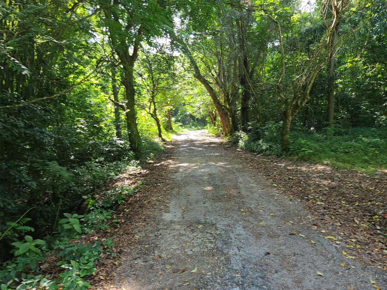 Twenty-Second image of Orange River, Montego Bay in Montego Bay, St. James, Jamaica - property is For Sale
