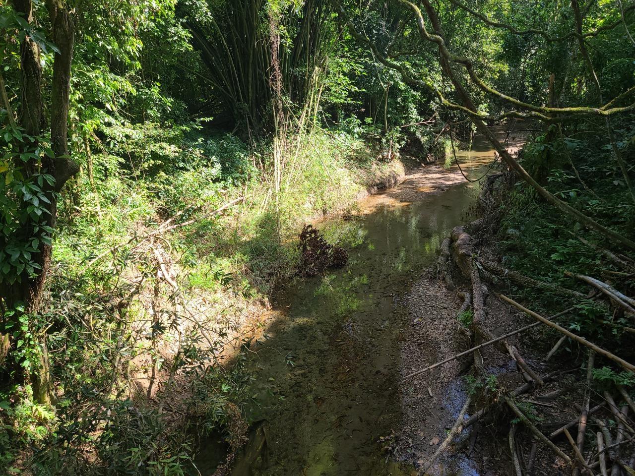 Third image of Orange River, Montego Bay in Montego Bay, St. James, Jamaica - property is For Sale