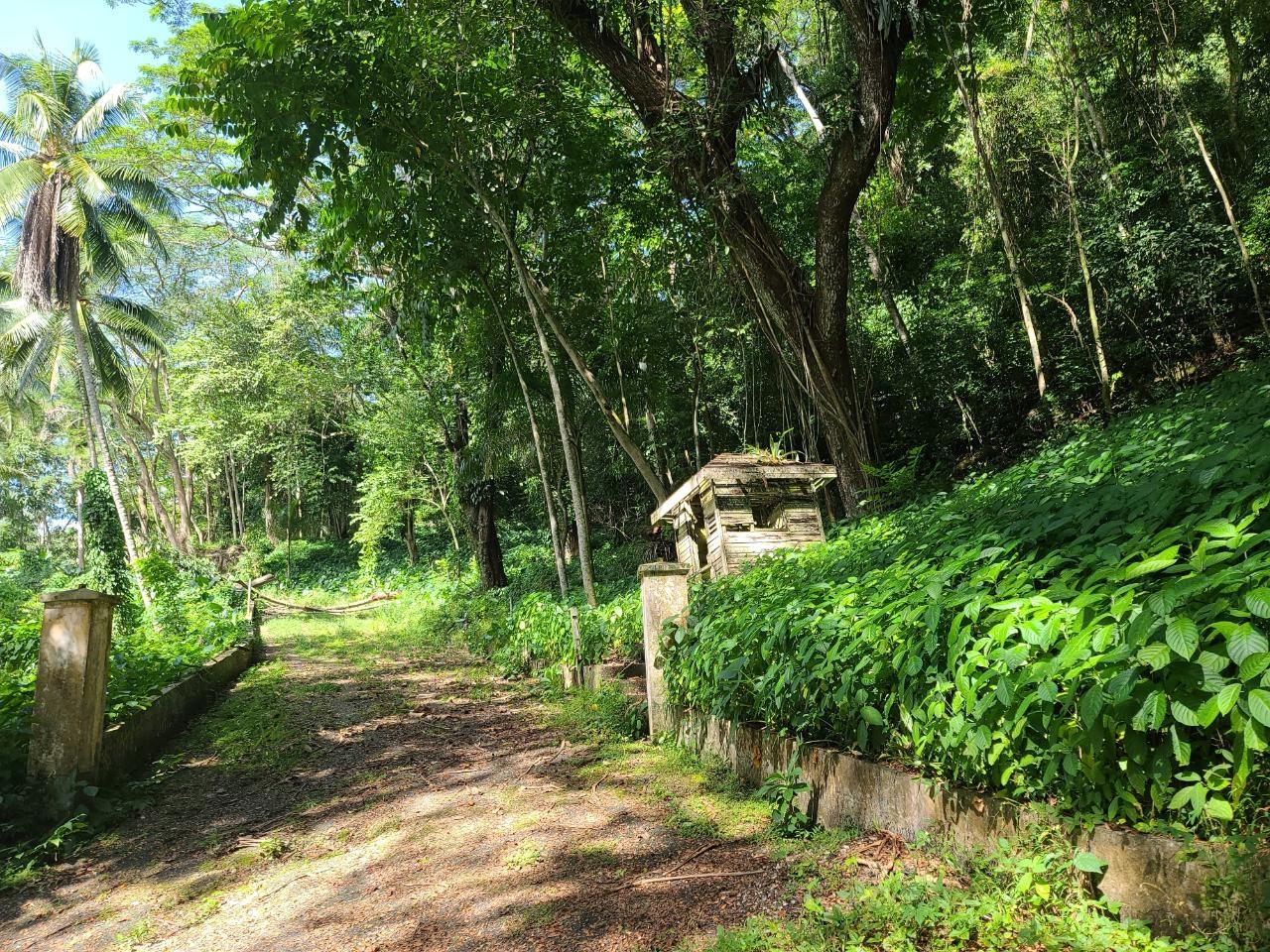 Ninth image of Orange River, Montego Bay in Montego Bay, St. James, Jamaica - property is For Sale