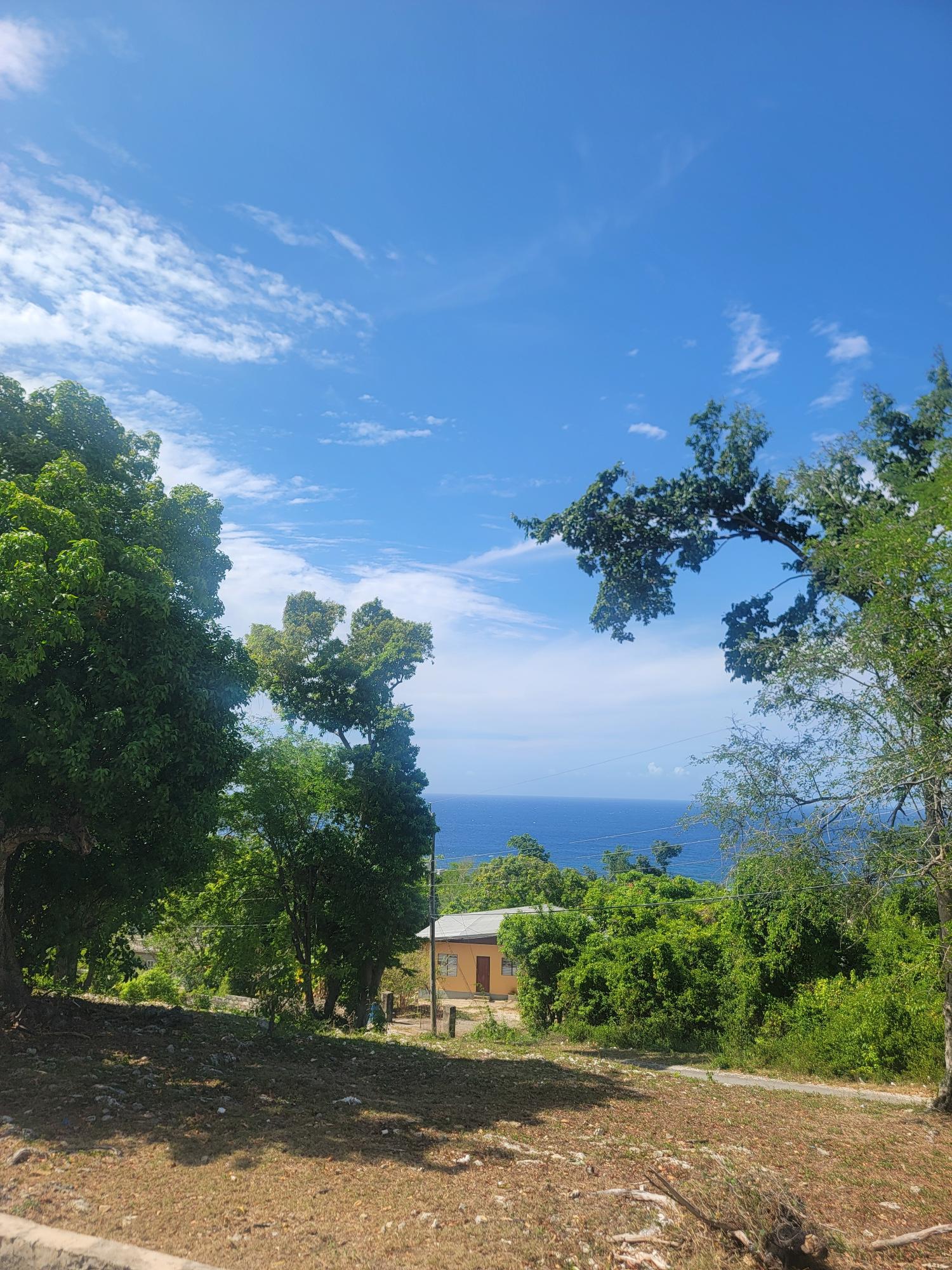 Twenty-Fifth image of Lot 140 Huddersfield in Fernandez Gardens, St. Mary, Jamaica - property is For Sale