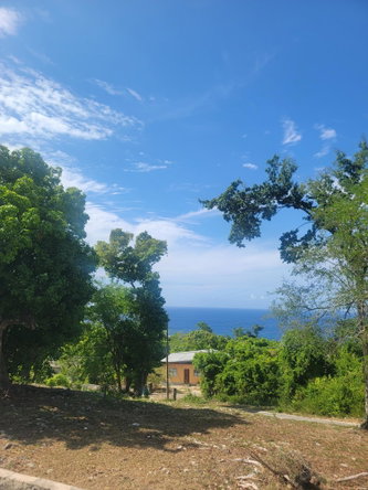 Twenty-Fifth image of Lot 140 Huddersfield in Fernandez Gardens, St. Mary, Jamaica - property is For Sale