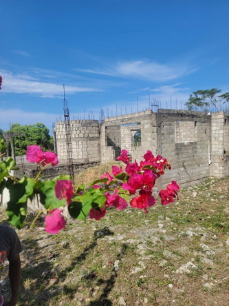 Twenty-Seventh image of Lot 140 Huddersfield in Fernandez Gardens, St. Mary, Jamaica - property is For Sale