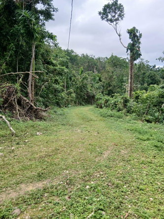 First image of New Ground in Lime Hall, St. Ann, Jamaica - property is For Sale