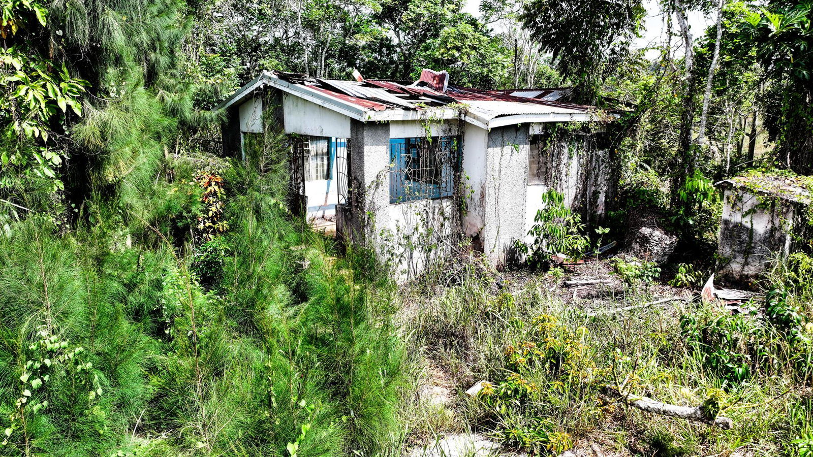 Fourteenth image of Ryde District, Newport. m in Newport, Manchester, Jamaica - property is For Sale