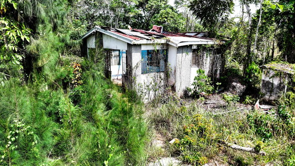 Fourteenth image of Ryde District, Newport. m in Newport, Manchester, Jamaica - property is For Sale