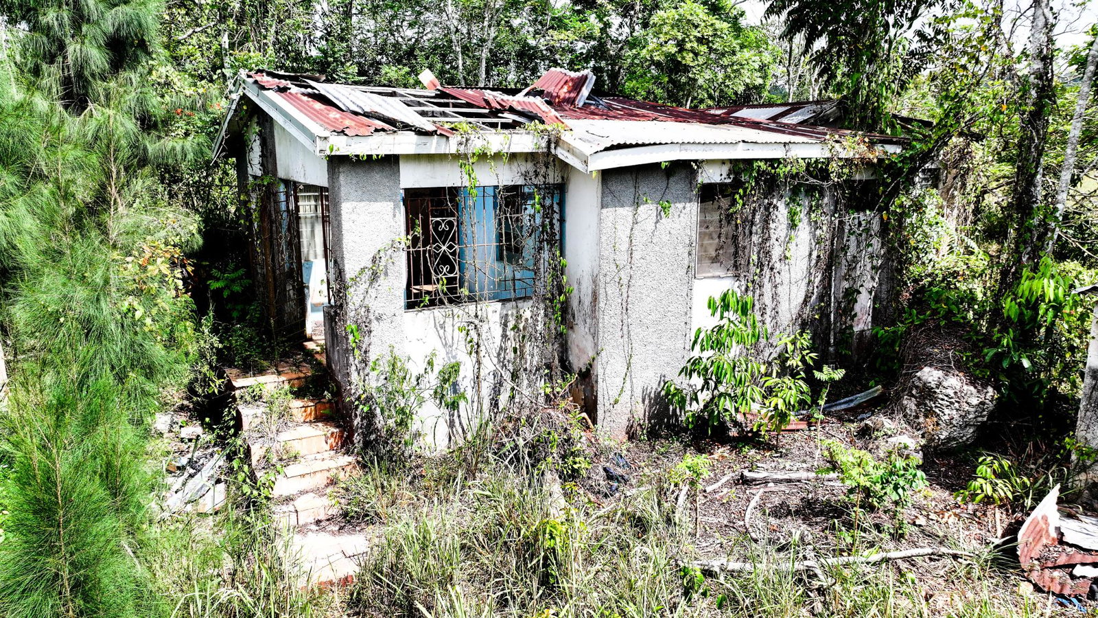 Fifteenth image of Ryde District, Newport. m in Newport, Manchester, Jamaica - property is For Sale