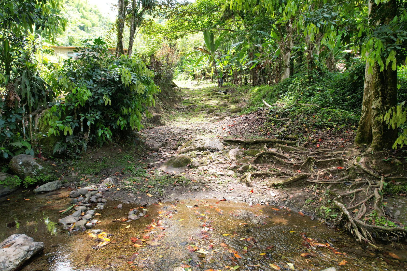 First image of Iron River Stony Hill in Golden Spring P.O., St. Andrew, Jamaica - property is For Sale