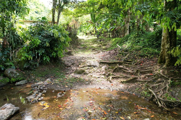 First image of Iron River Stony Hill in Golden Spring P.O., St. Andrew, Jamaica - property is For Sale
