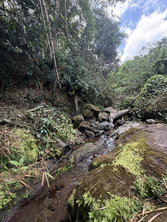 Twelfth image of Iron River Stony Hill in Golden Spring P.O., St. Andrew, Jamaica - property is For Sale