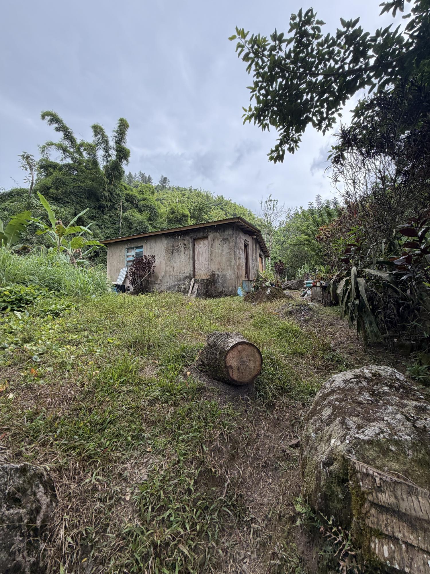 Seventeenth image of Iron River Stony Hill in Golden Spring P.O., St. Andrew, Jamaica - property is For Sale