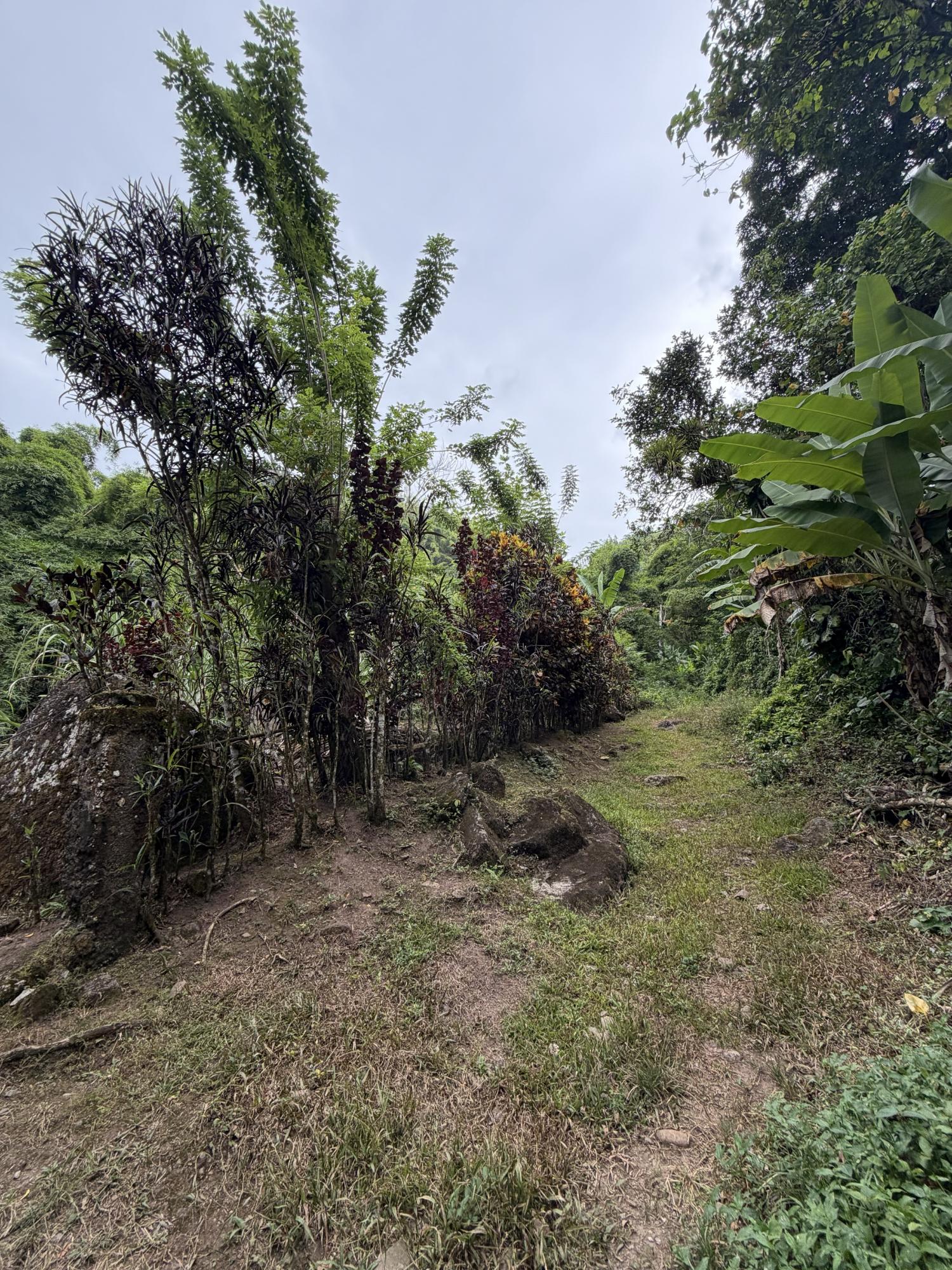 Eighteenth image of Iron River Stony Hill in Golden Spring P.O., St. Andrew, Jamaica - property is For Sale