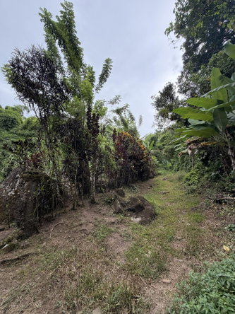 Eighteenth image of Iron River Stony Hill in Golden Spring P.O., St. Andrew, Jamaica - property is For Sale