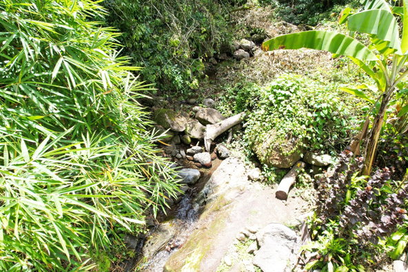 Third image of Iron River Stony Hill in Golden Spring P.O., St. Andrew, Jamaica - property is For Sale