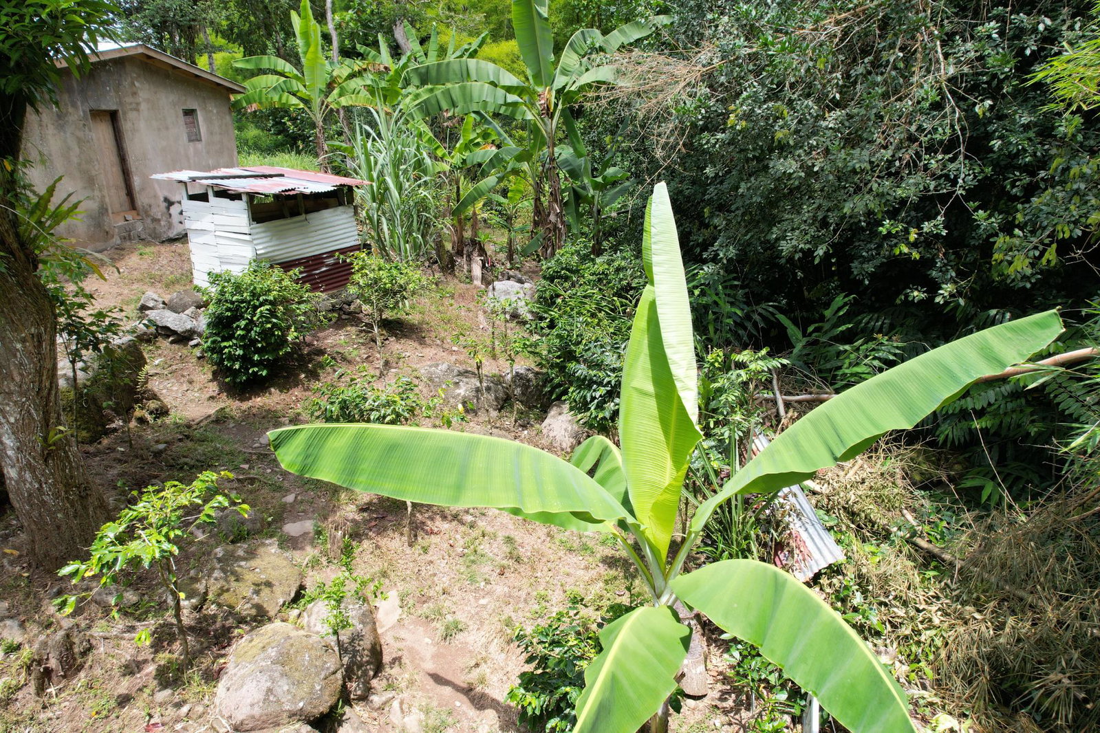 Ninth image of Iron River Stony Hill in Golden Spring P.O., St. Andrew, Jamaica - property is For Sale