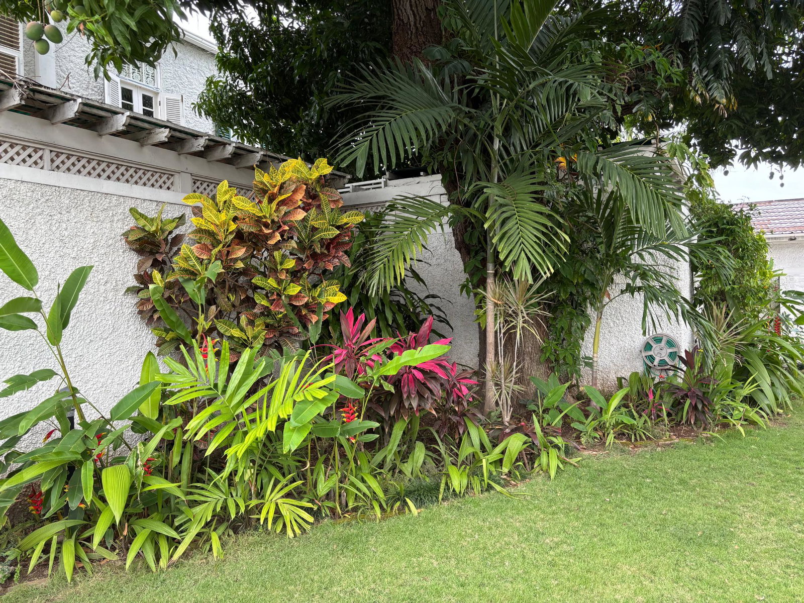 Second image of 1 3-5 Great House Boulevard in Kingston 6, St. Andrew, Jamaica - property is For Rent