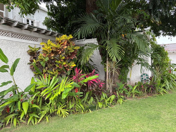 Second image of 1 3-5 Great House Boulevard in Kingston 6, St. Andrew, Jamaica - property is For Rent